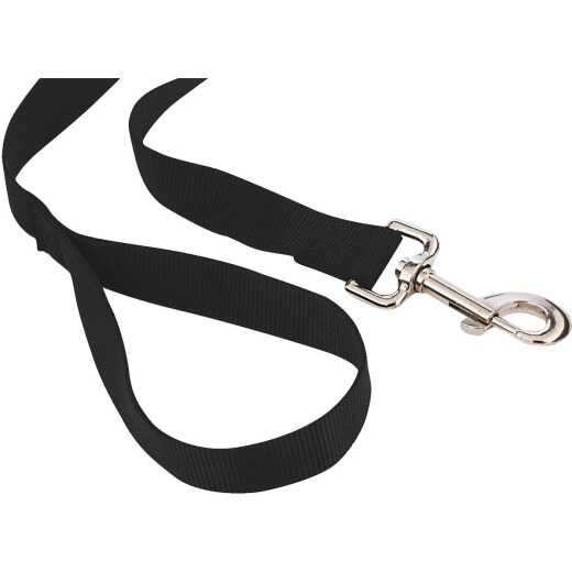 Dog Harnesses, Muzzles, & Leashes